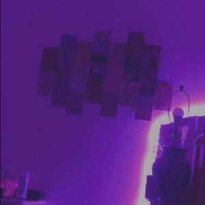 Meet your Posher, Raquel